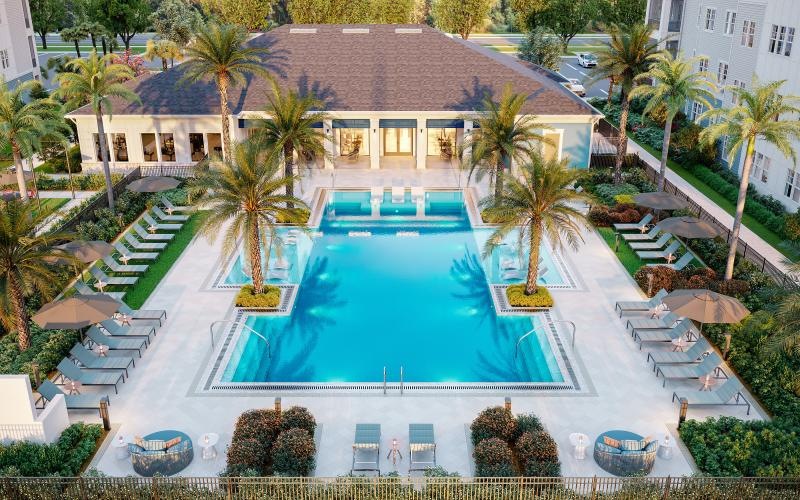 a pool surrounded by palm trees